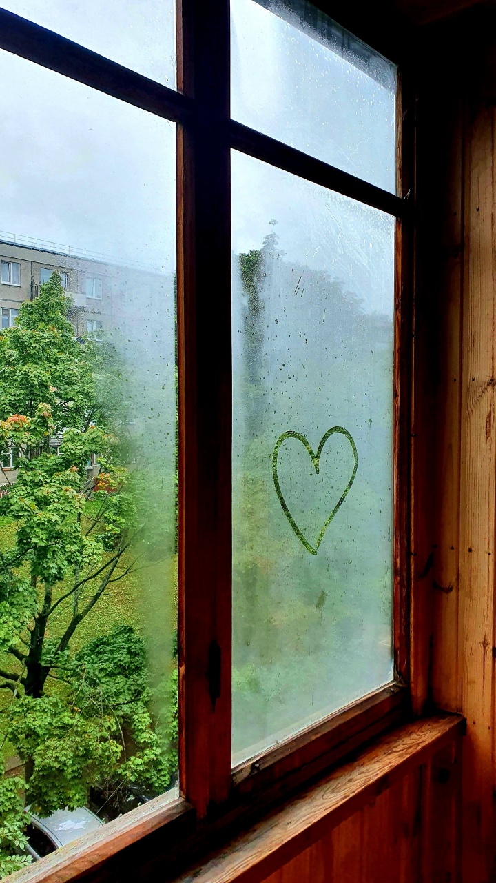 Fenster, Unbreakable, Licht, Holz, Branch. Wallpaper in 720x1280 Resolution