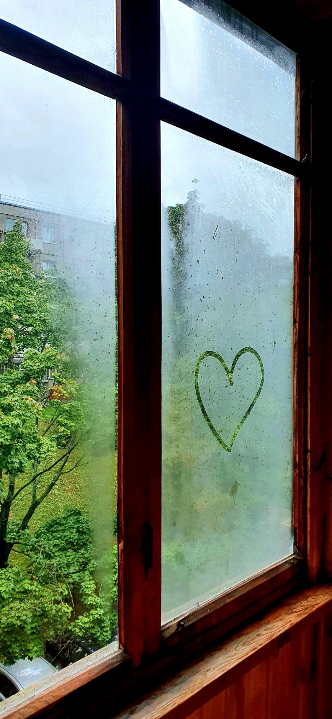 Window, Unbreakable, Light, Plant, Fixture. Wallpaper in 1125x2436 Resolution