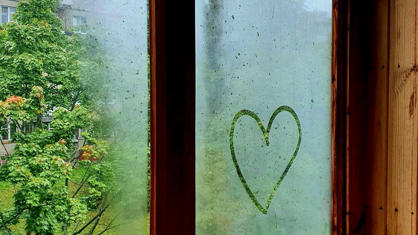 Window, Unbreakable, Light, Plant, Fixture. Wallpaper in 1366x768 Resolution