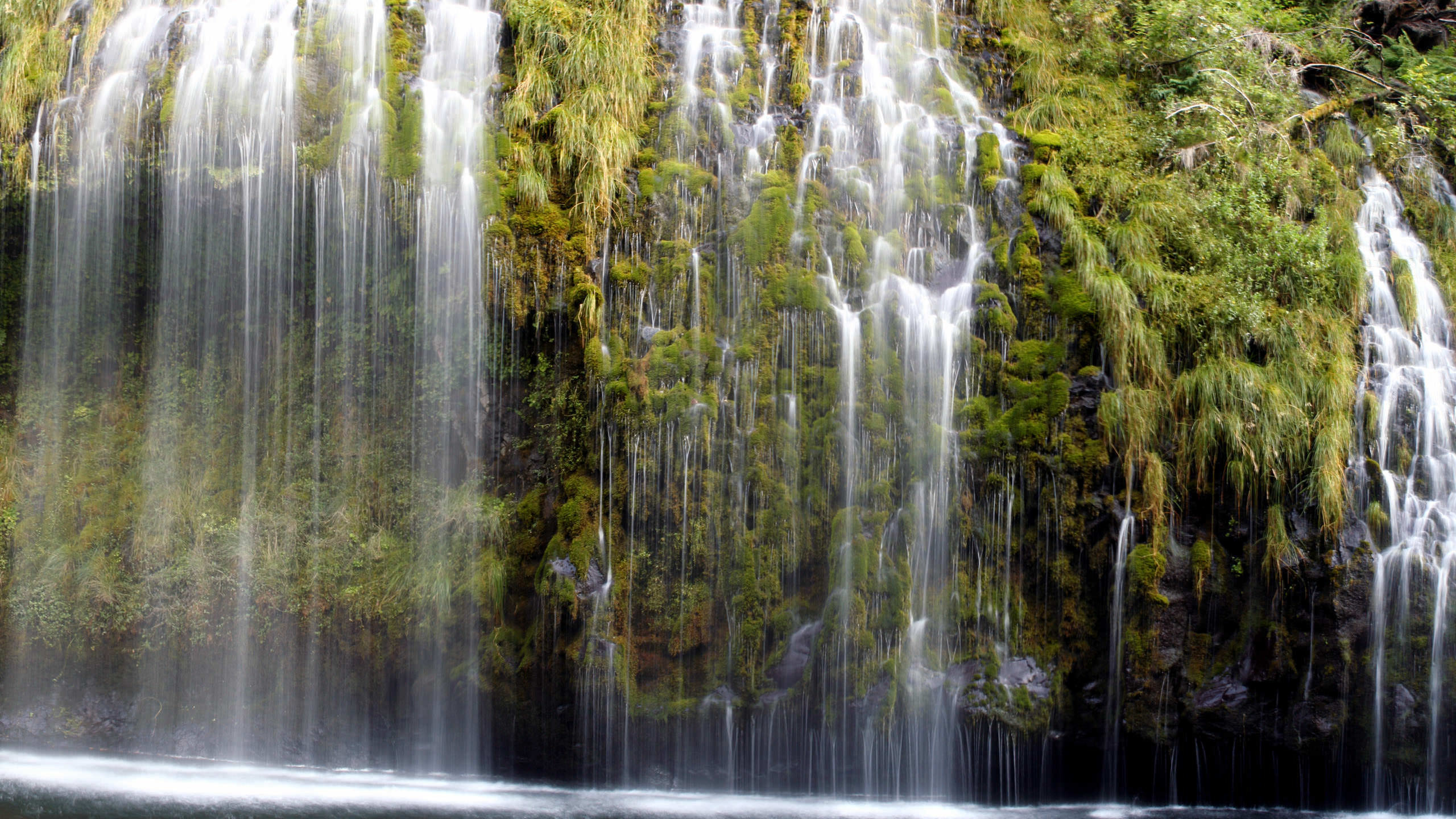 L'eau Tombe au Milieu Des Arbres Verts. Wallpaper in 2560x1440 Resolution