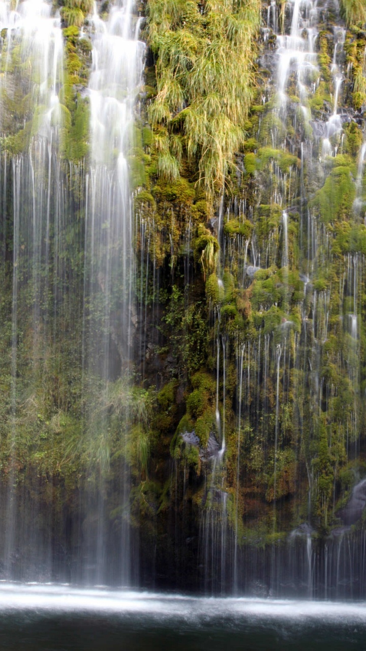 Water Falls in The Middle of Green Trees. Wallpaper in 720x1280 Resolution