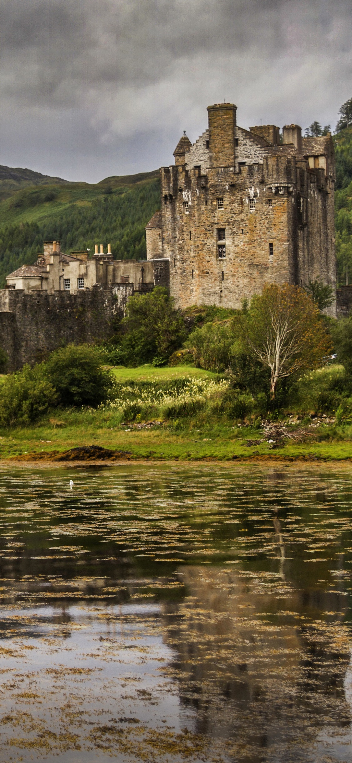 城堡, 桥城堡, 艾琳多南城堡, 高地, 银行 壁纸 1125x2436 允许