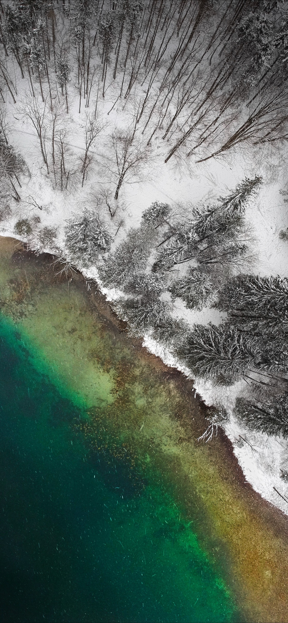 性质, 自然景观, 水资源, 气氛, 大海 壁纸 1125x2436 允许