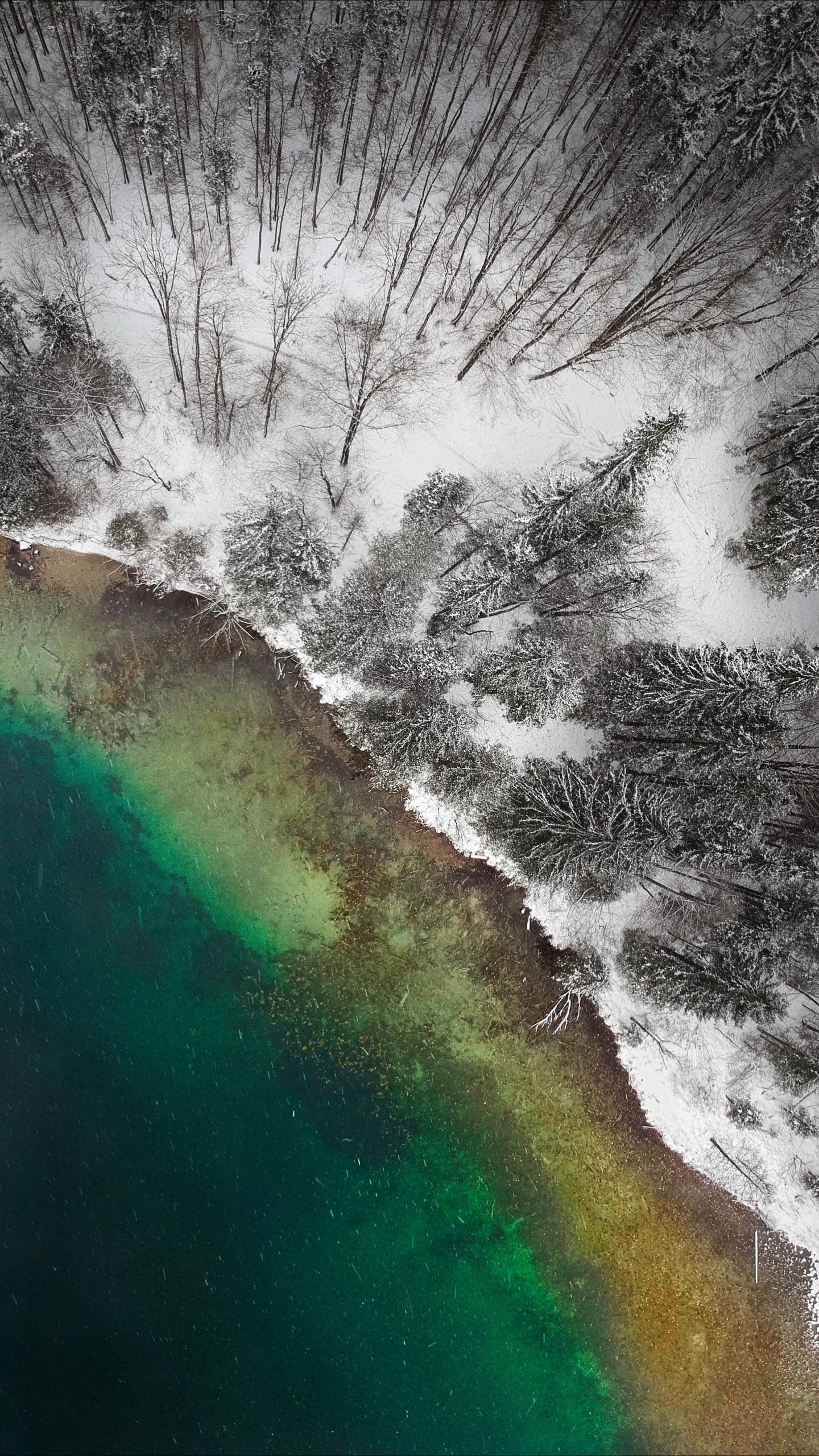 性质, 自然景观, 水资源, 气氛, 大海 壁纸 1440x2560 允许