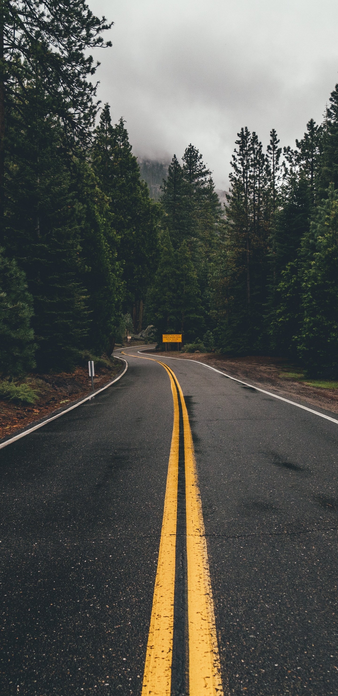 Apple MacBook Pro, Macbook, Macbook Air, Road, Asphalt. Wallpaper in 1440x2960 Resolution