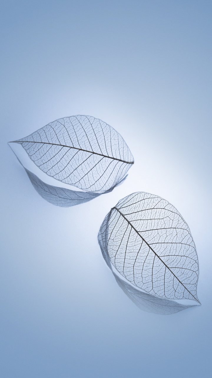 Xiaomi, Xiaomi Redmi K20 Pro, Redmi 8a, Xiaomi mi 9, Redmi Go. Wallpaper in 720x1280 Resolution