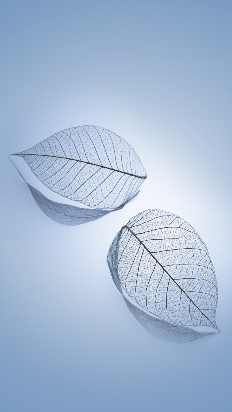 Xiaomi, Xiaomi Redmi K20 Pro, Redmi 8a, Xiaomi mi 9, Redmi Go. Wallpaper in 750x1334 Resolution