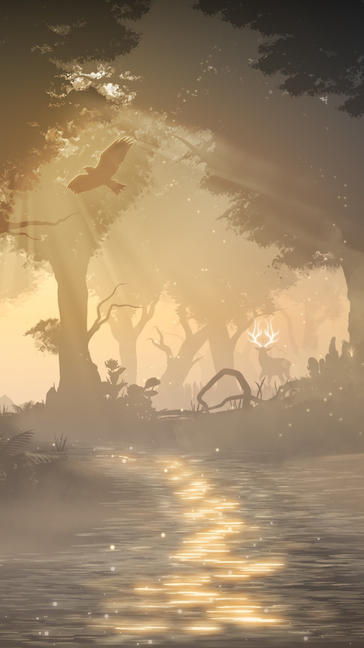 Sun Setting Over The Trees. Wallpaper in 720x1280 Resolution