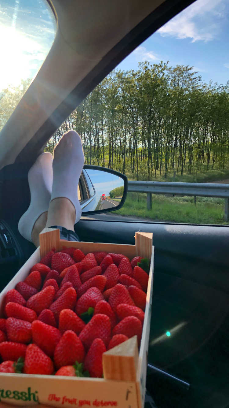 Local Food, Strawberry, Biology, Science, Automotive Mirror. Wallpaper in 750x1334 Resolution