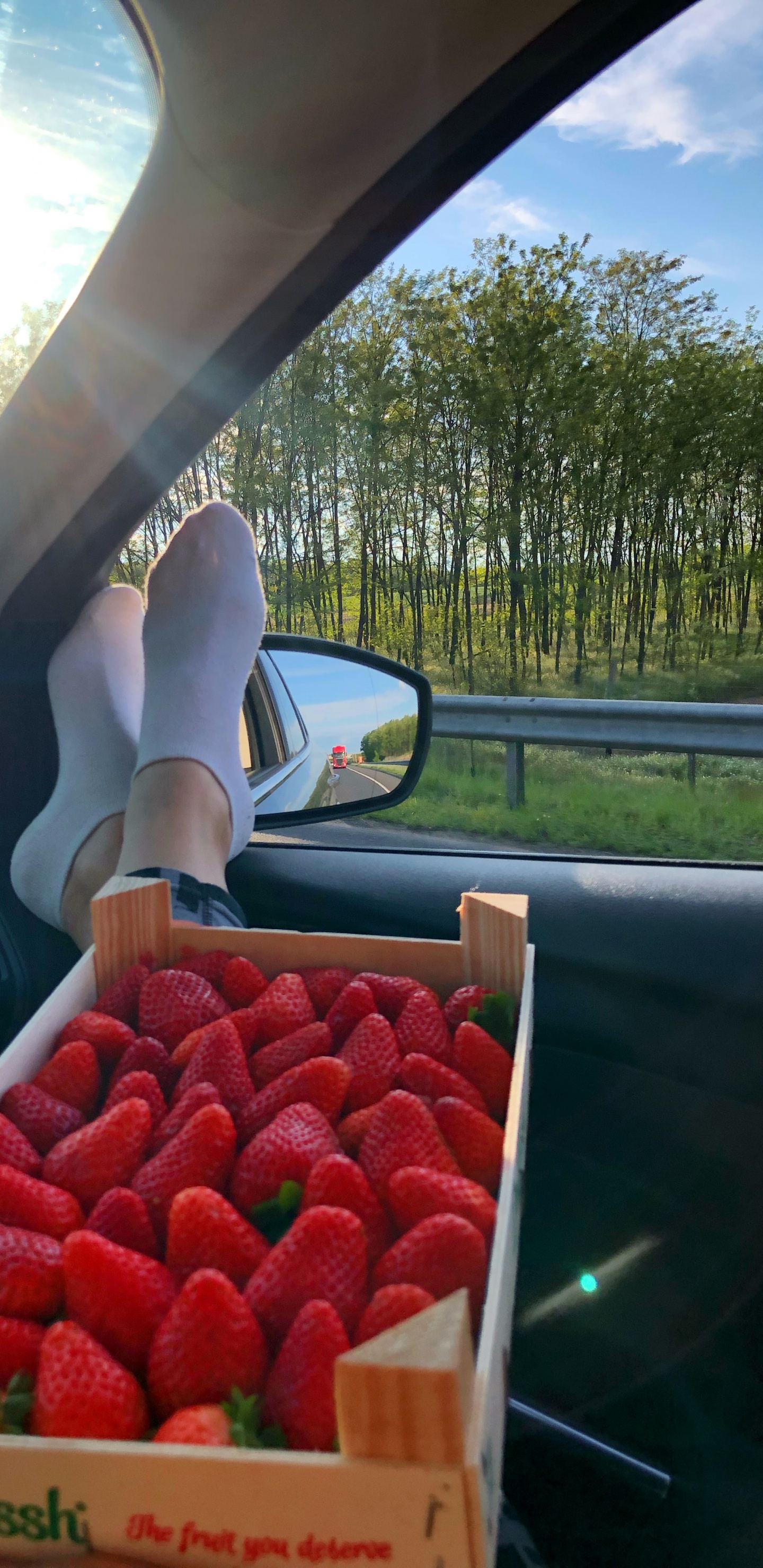 Lokale Lebensmittel, Erdbeere, Biologie, Wissenschaft, Kfz-Spiegel. Wallpaper in 1440x2960 Resolution