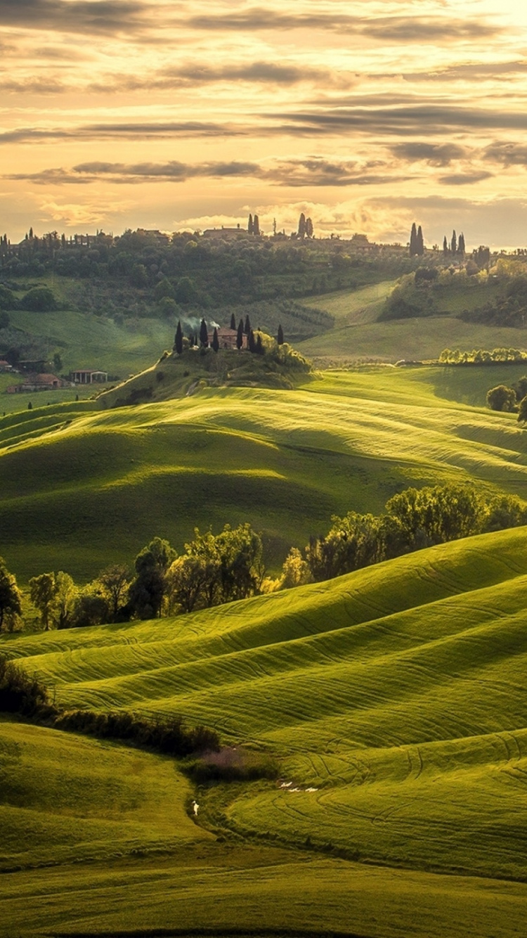 性质, 早上, 高地, 别墅, 草 壁纸 750x1334 允许