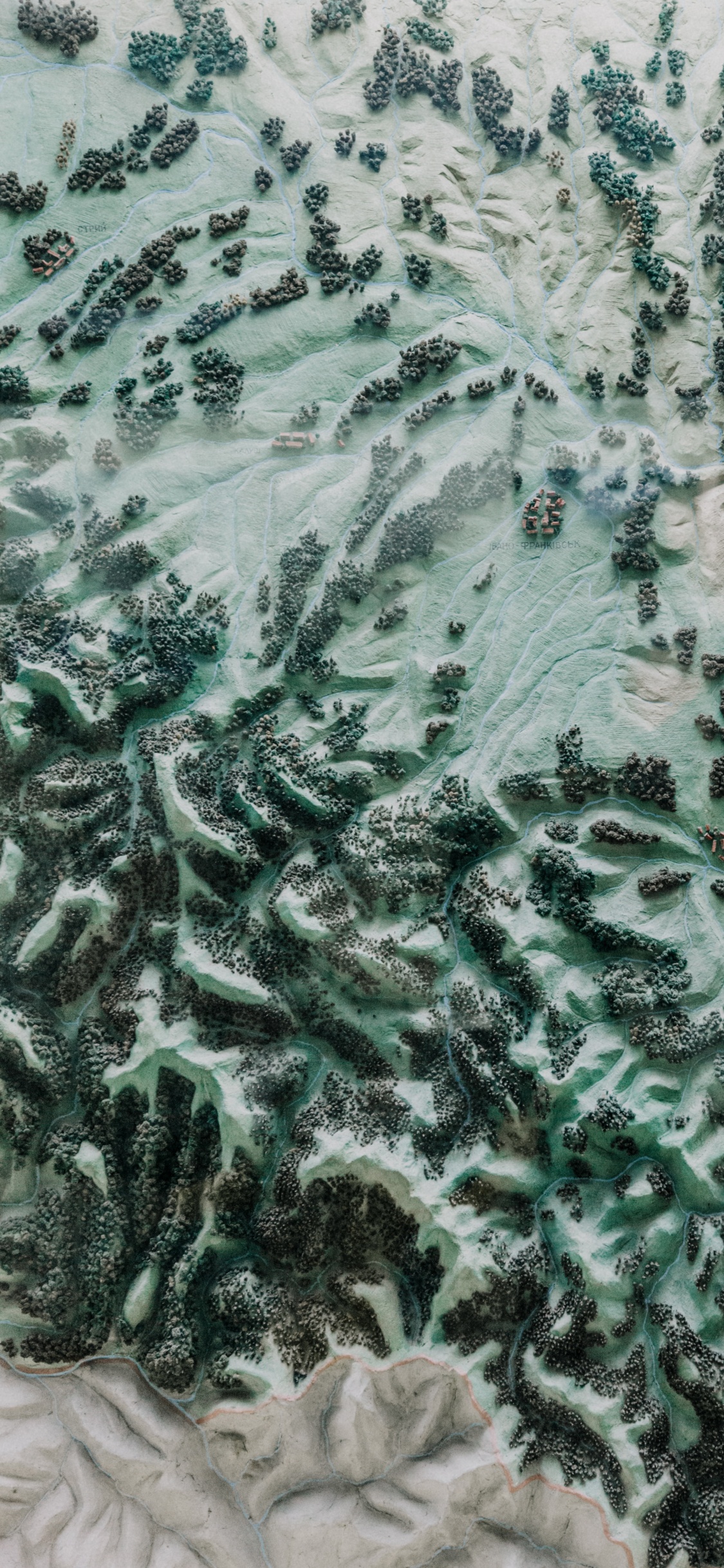 Textil Floral Blanco y Verde. Wallpaper in 1125x2436 Resolution