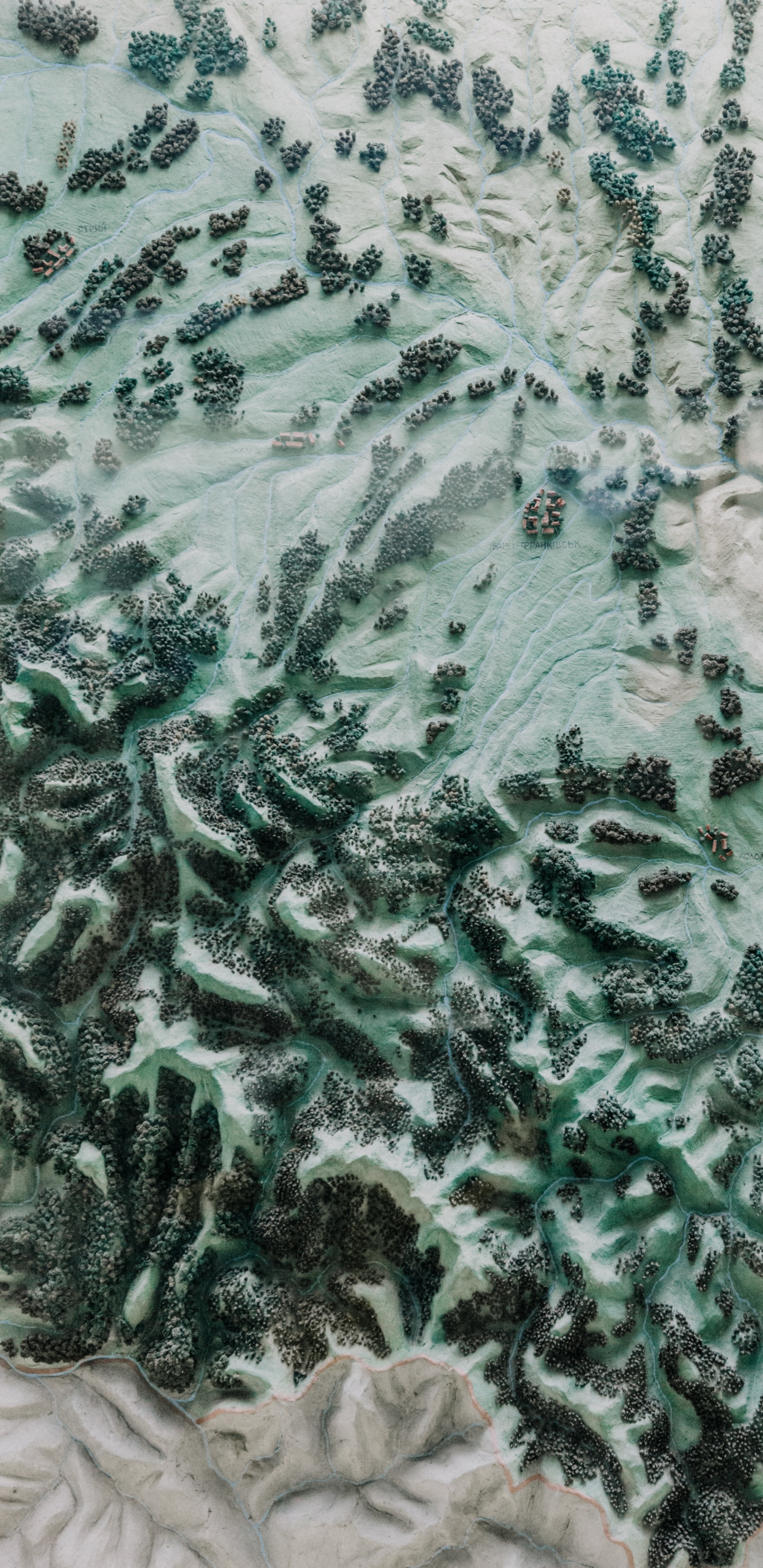 Textil Floral Blanco y Verde. Wallpaper in 1440x2960 Resolution