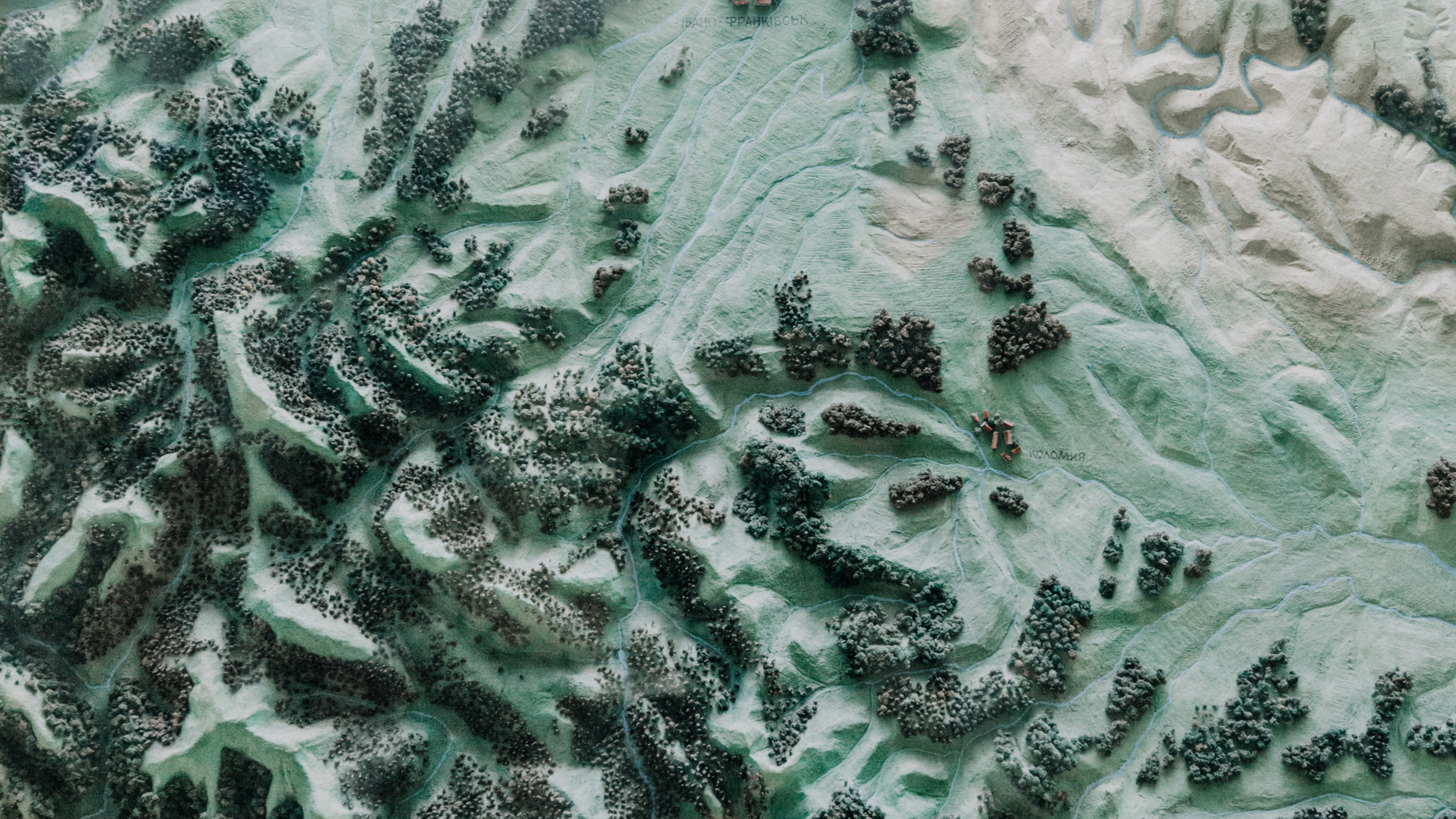 Textil Floral Blanco y Verde. Wallpaper in 1920x1080 Resolution