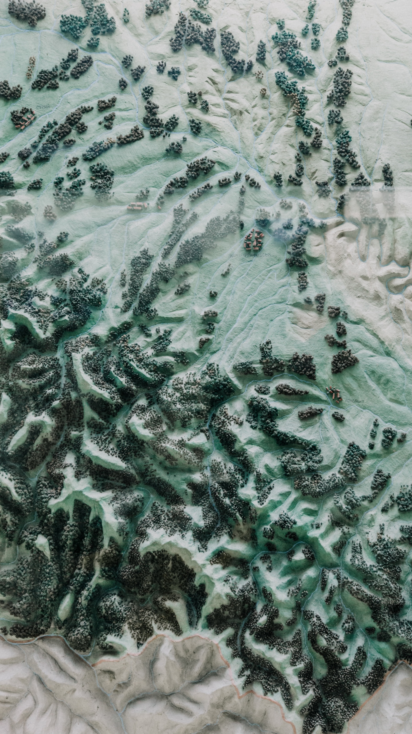 White and Green Floral Textile. Wallpaper in 1440x2560 Resolution