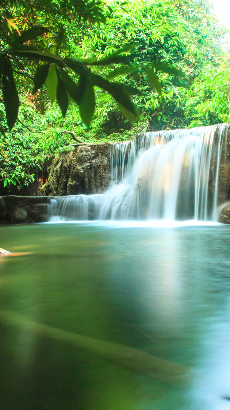 Cascadas en Medio Del Bosque. Wallpaper in 750x1334 Resolution