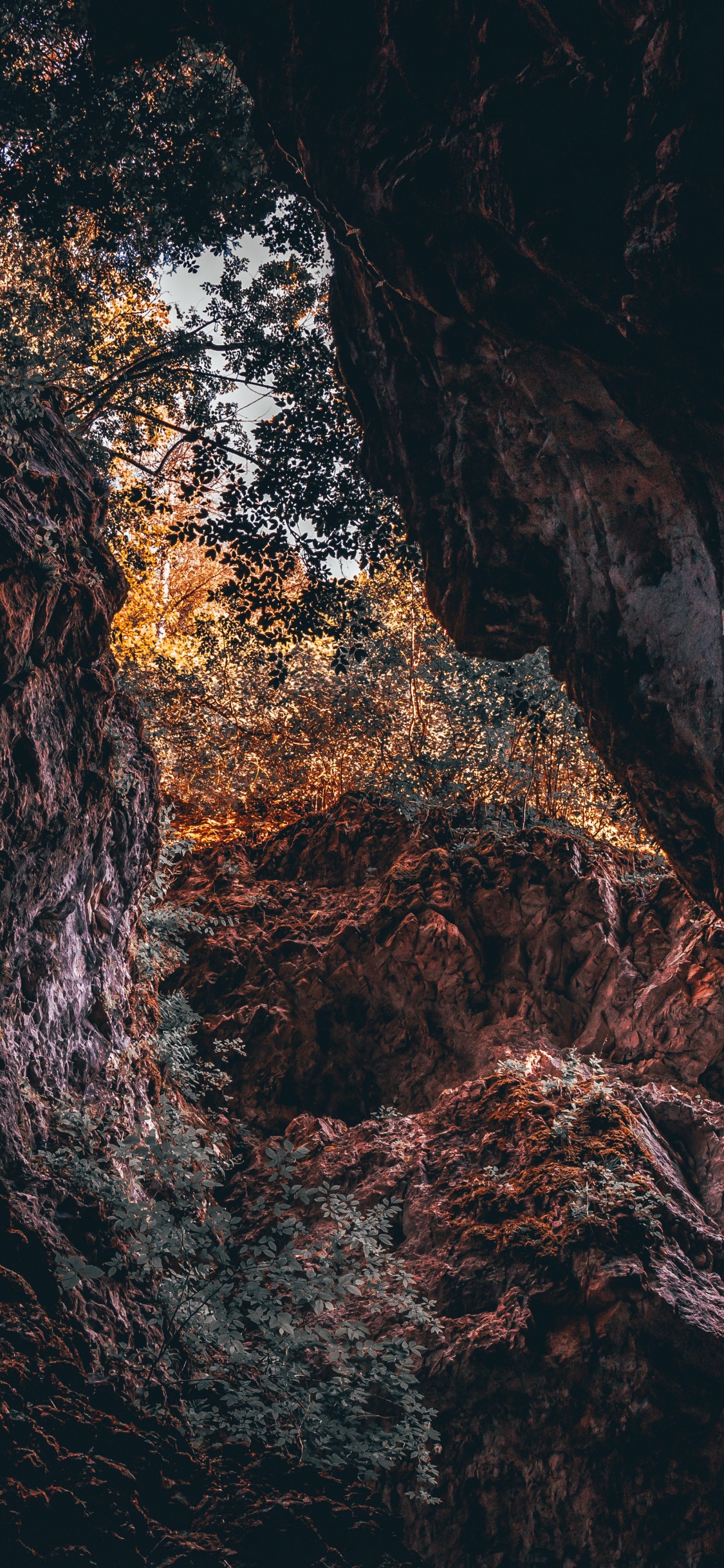 Noir, Brown, Eau, Rock, Atmosphère. Wallpaper in 1125x2436 Resolution