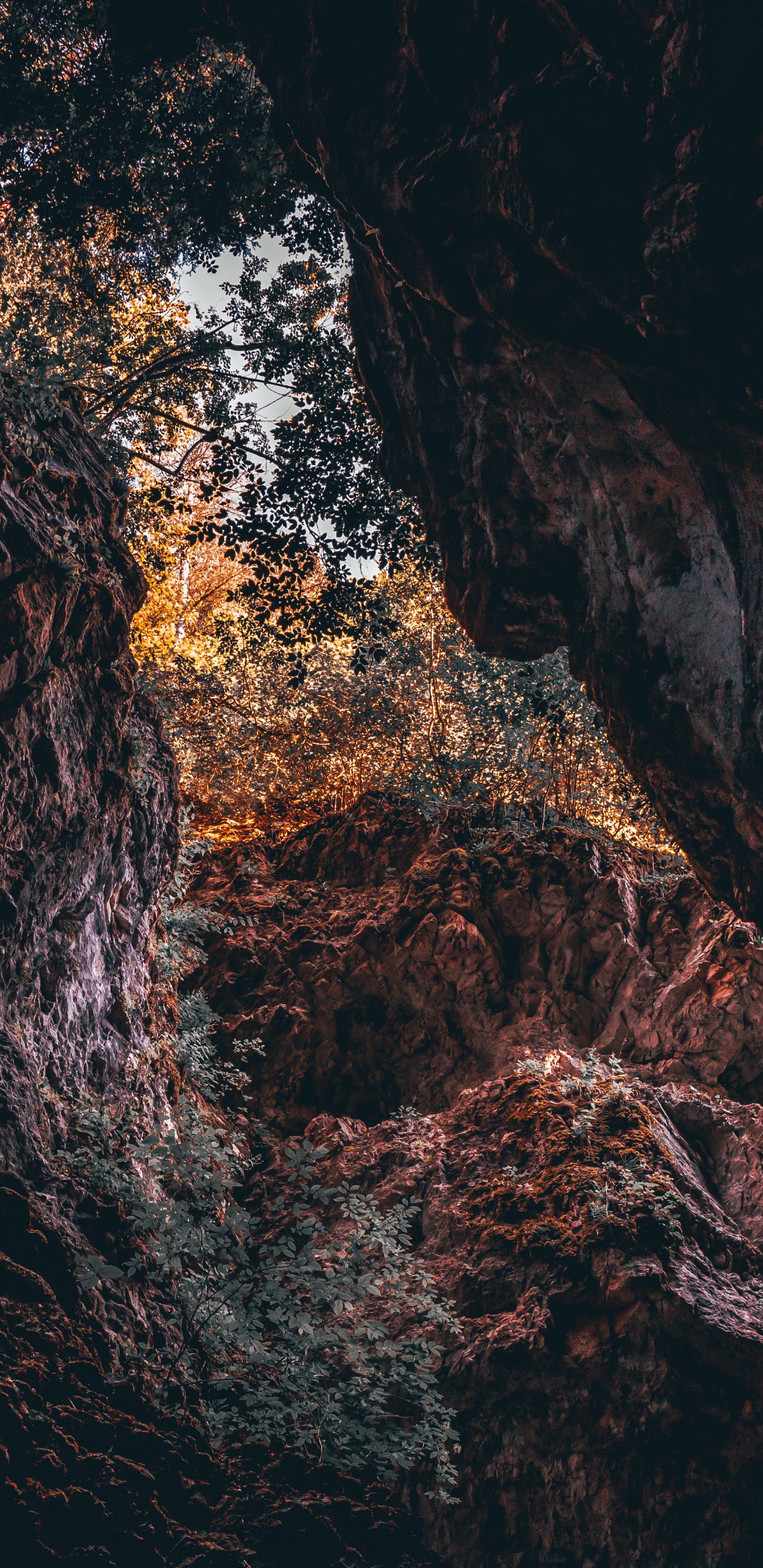 Negro, Morena, Agua, Ambiente, Geología. Wallpaper in 1440x2960 Resolution