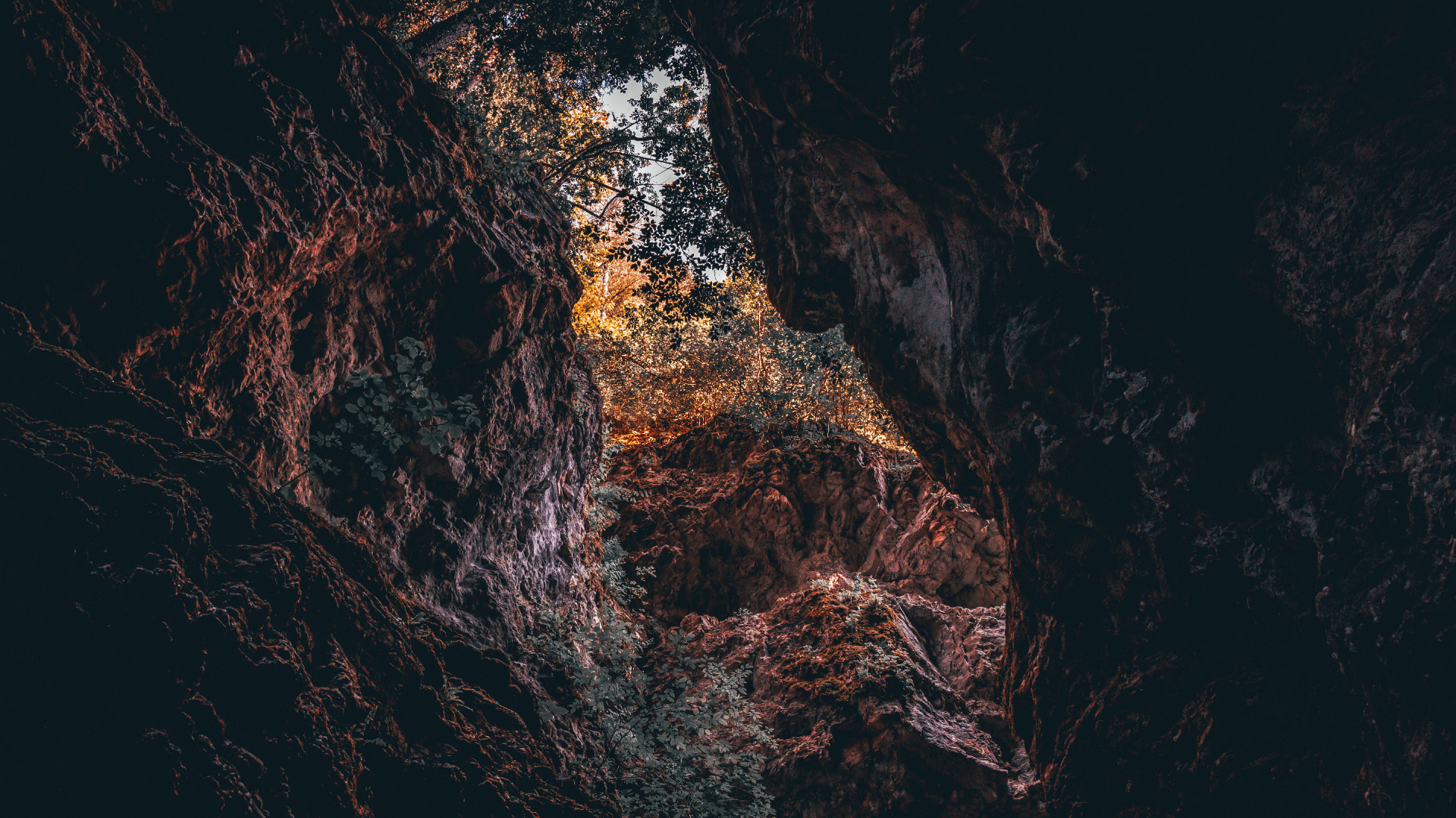 Black, Brown, Water, Tree, Rock. Wallpaper in 1920x1080 Resolution