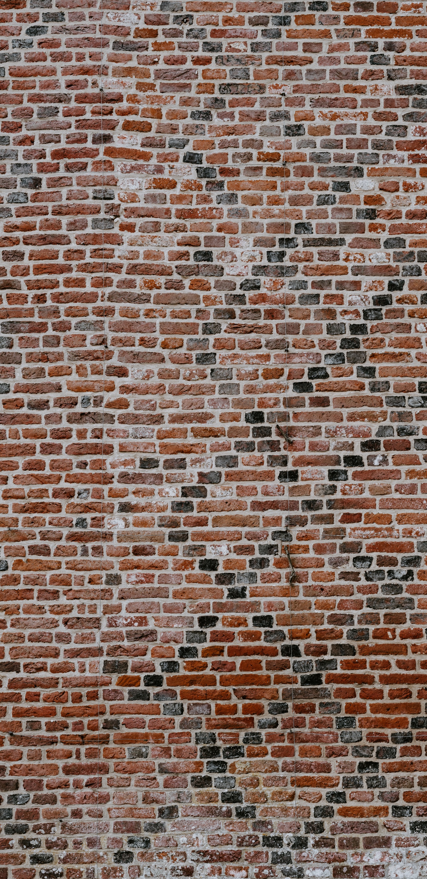Mur de Briques Brunes et Noires. Wallpaper in 1440x2960 Resolution