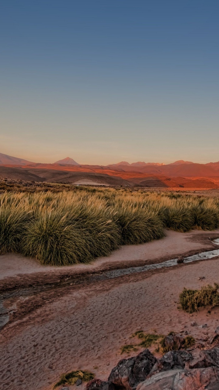 Green Grass Field Near Brown Mountain Under Blue Sky During Daytime. Wallpaper in 720x1280 Resolution