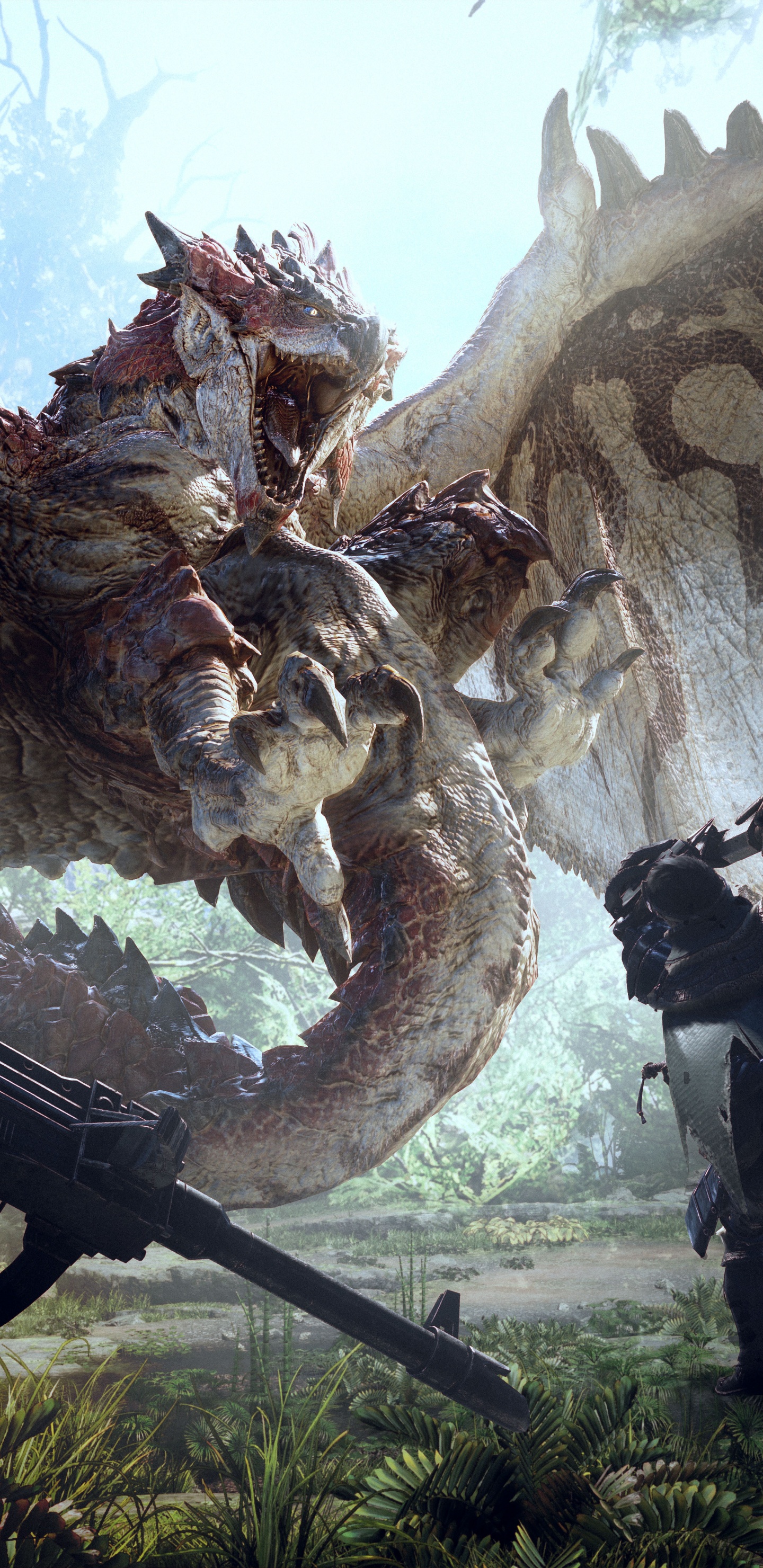 龙, 冒险的游戏, 电脑游戏, 一个xbox, 天空 壁纸 1440x2960 允许