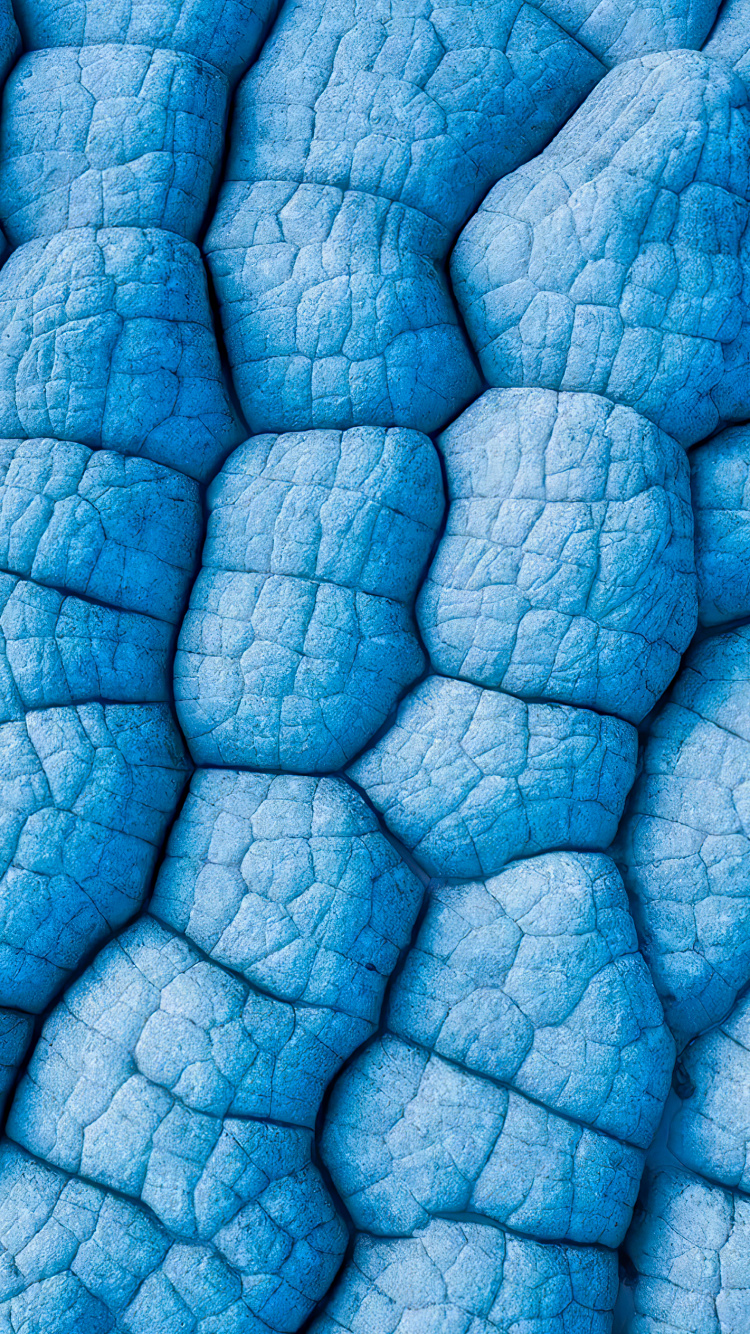 Azul, Azure, Líquido, Aqua, Patrón. Wallpaper in 750x1334 Resolution