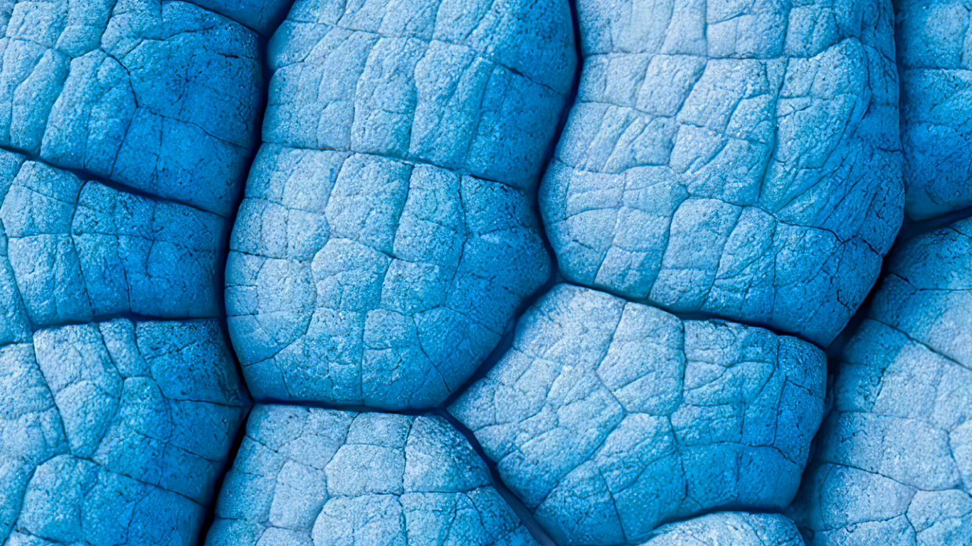 Blatt, Blau, Azure, Flüssigkeit, Aqua. Wallpaper in 1366x768 Resolution