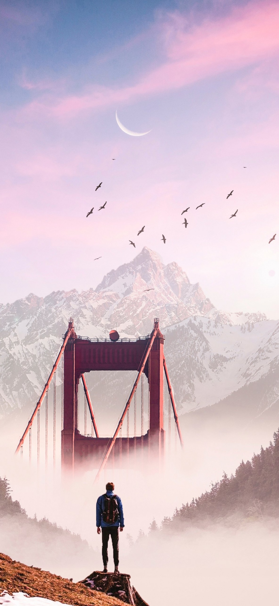 Cloud, Vogel, Natur, Schnee, Hochland. Wallpaper in 1125x2436 Resolution