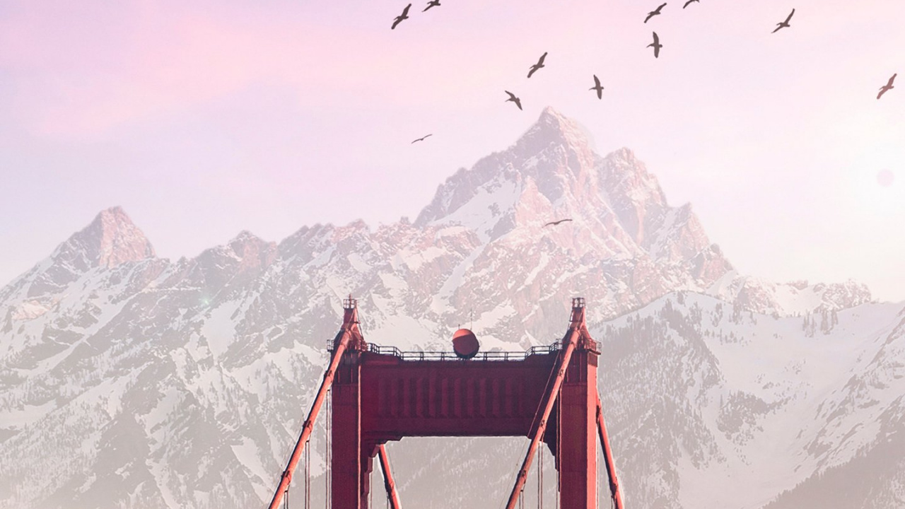 Oiseau, Nature, Neige, Highland, Pente. Wallpaper in 1280x720 Resolution