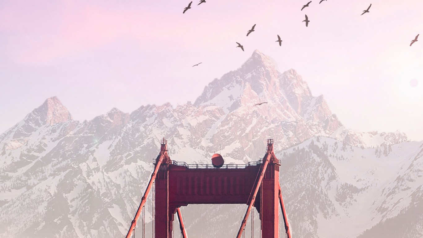 Oiseau, Nature, Neige, Highland, Pente. Wallpaper in 1366x768 Resolution