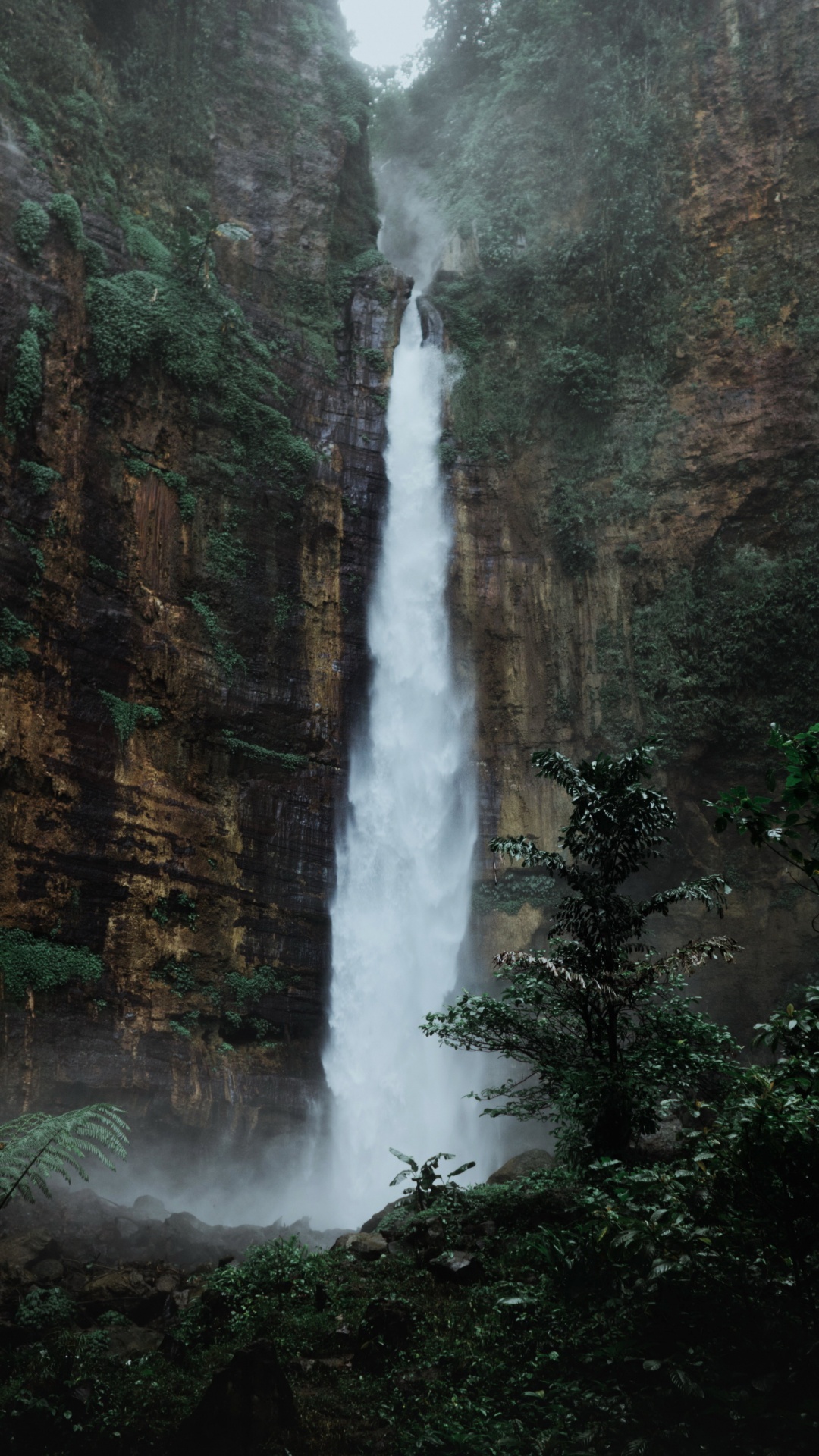 Air Terjun Kapas Biru, Waterfall, Water, Plant, Natural Landscape. Wallpaper in 1080x1920 Resolution