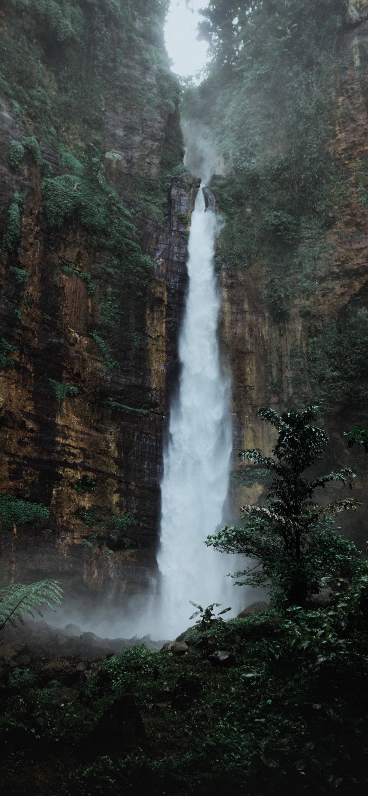 Air Terjun Kapas Biru, Waterfall, Water, Plant, Natural Landscape. Wallpaper in 1242x2688 Resolution