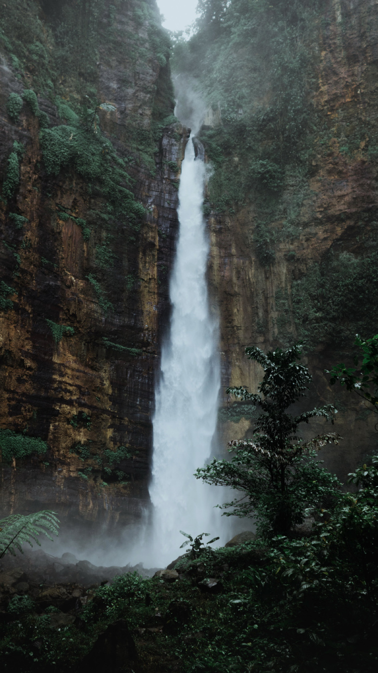 Air Terjun Kapas Biru, Waterfall, Water, Plant, Natural Landscape. Wallpaper in 750x1334 Resolution