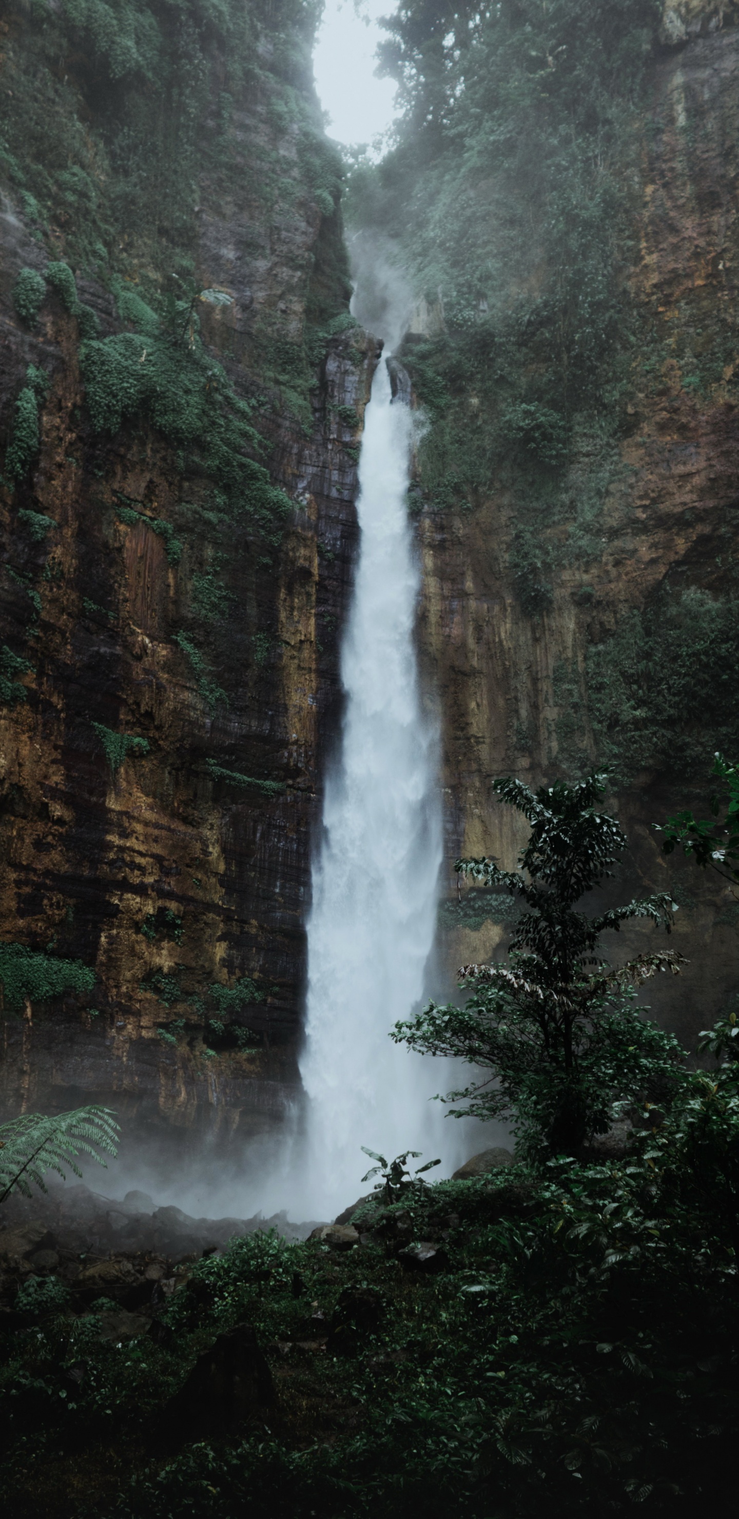 Cascade de Coton Bleu, Cascade, Eau, Paysage Naturel, Fluide. Wallpaper in 1440x2960 Resolution