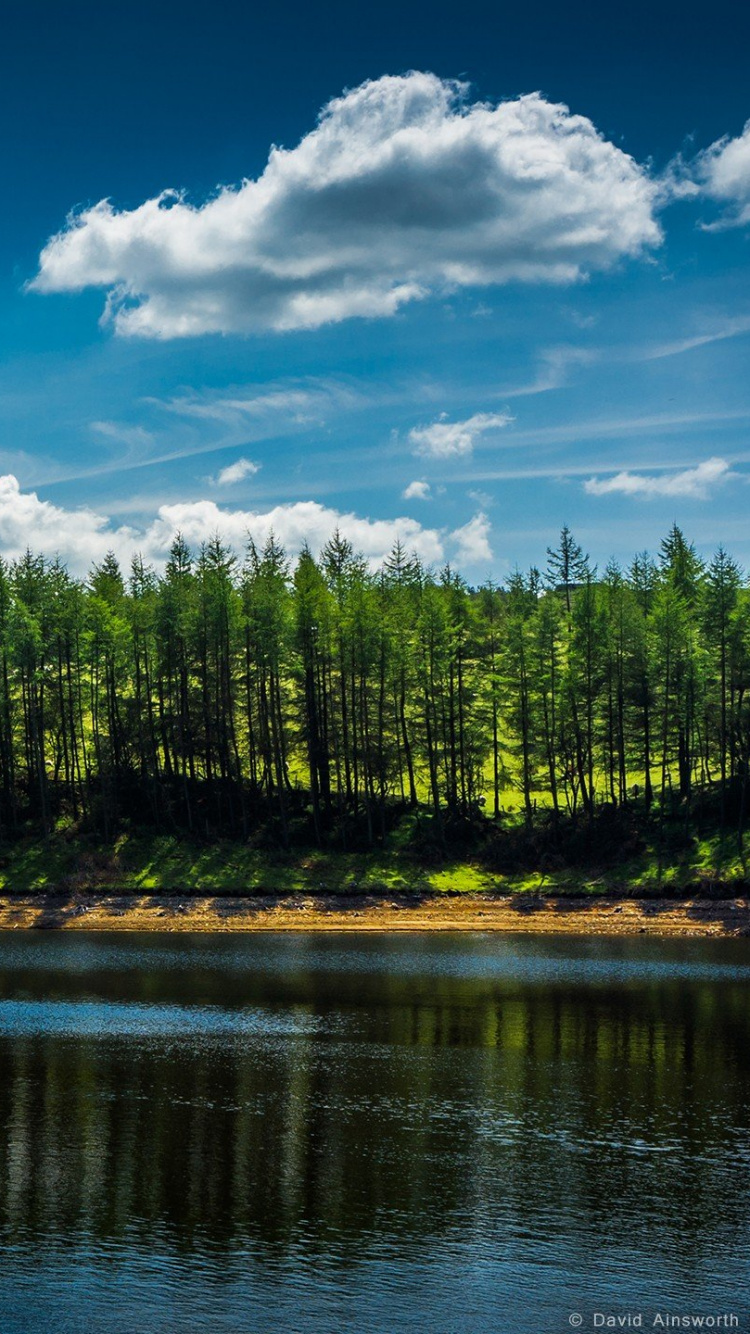 Green Trees Beside Lake Under Blue Sky During Daytime. Wallpaper in 750x1334 Resolution