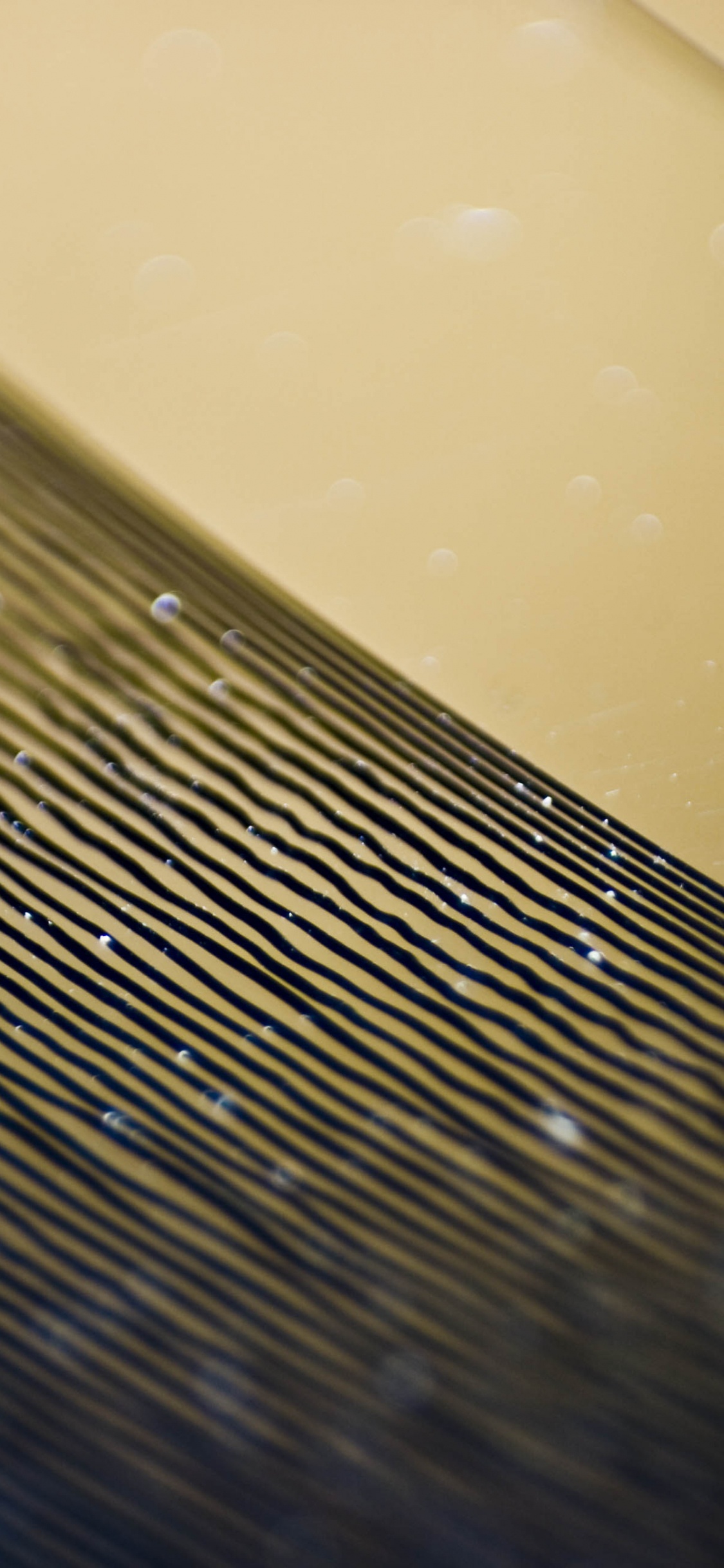 Schallplatte, lp Record, Phonograph, Wasser, Tropfen. Wallpaper in 1125x2436 Resolution