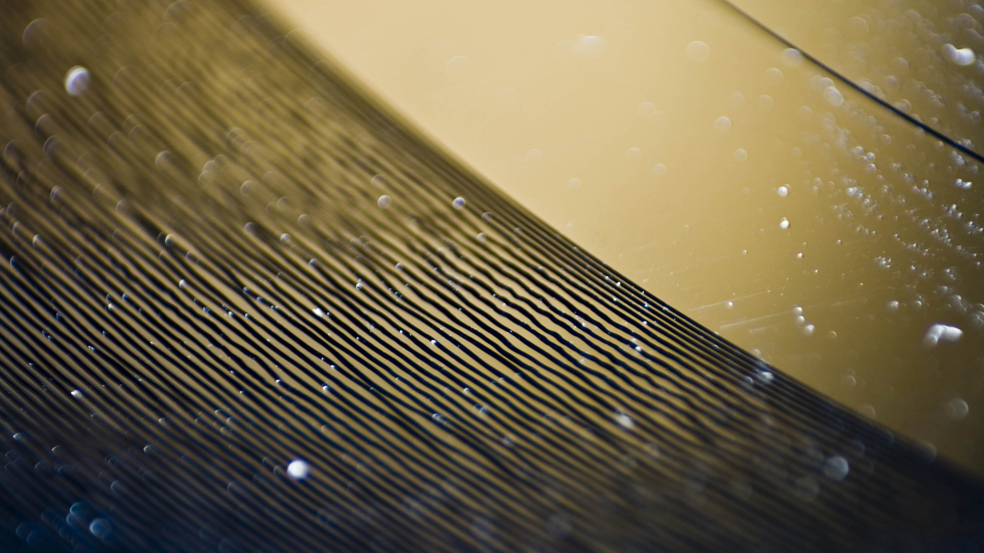 Schallplatte, lp Record, Phonograph, Wasser, Tropfen. Wallpaper in 1920x1080 Resolution