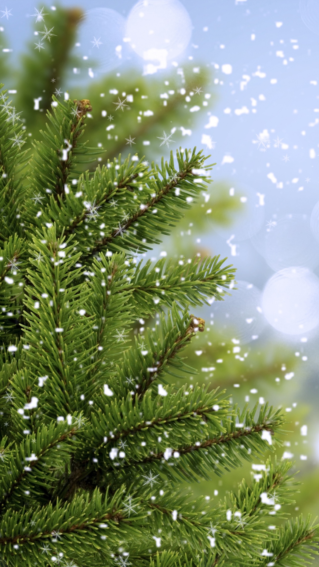 Green Pine Tree With White and Blue Lights. Wallpaper in 1080x1920 Resolution