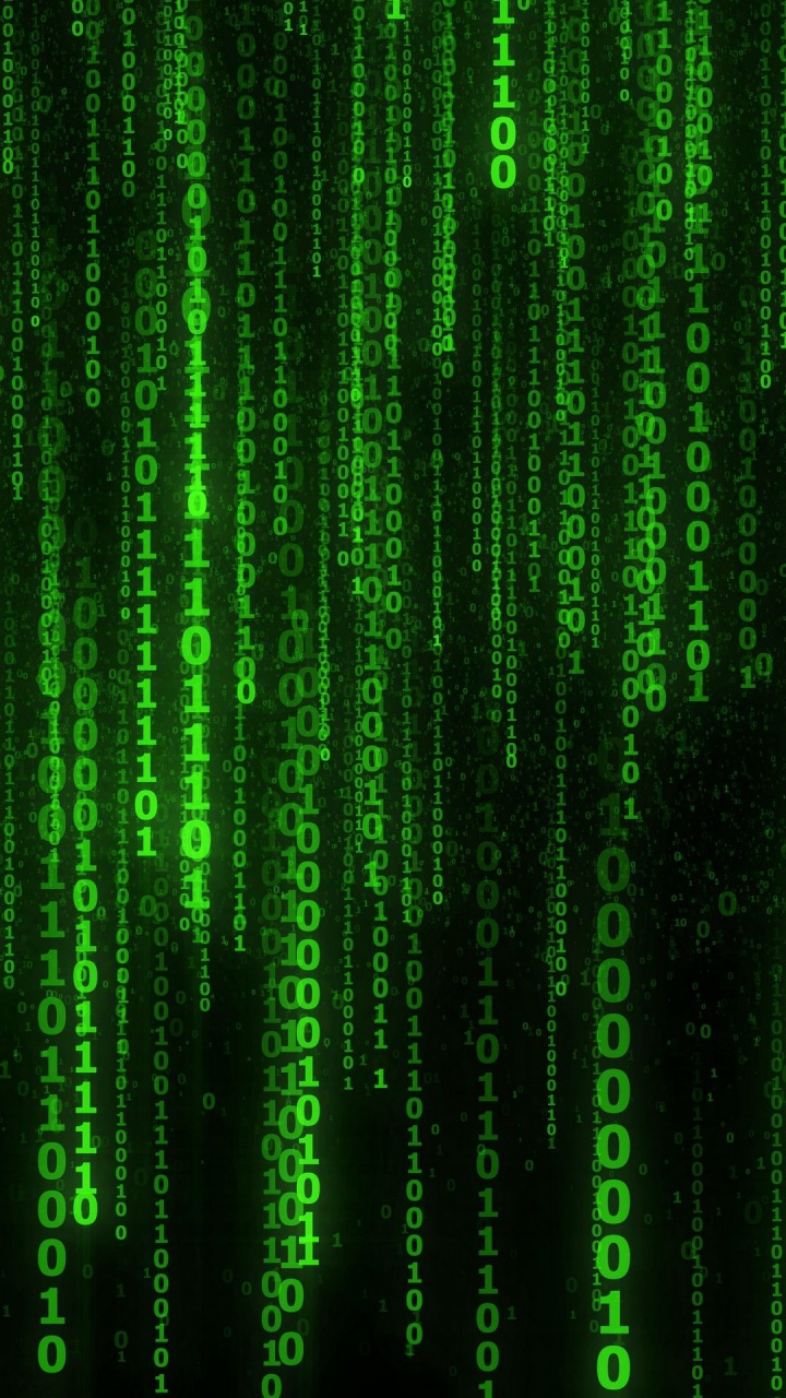 Matrice, Matrice Numérique Pluie, Ligne, Plante Terrestre, Technologie. Wallpaper in 720x1280 Resolution