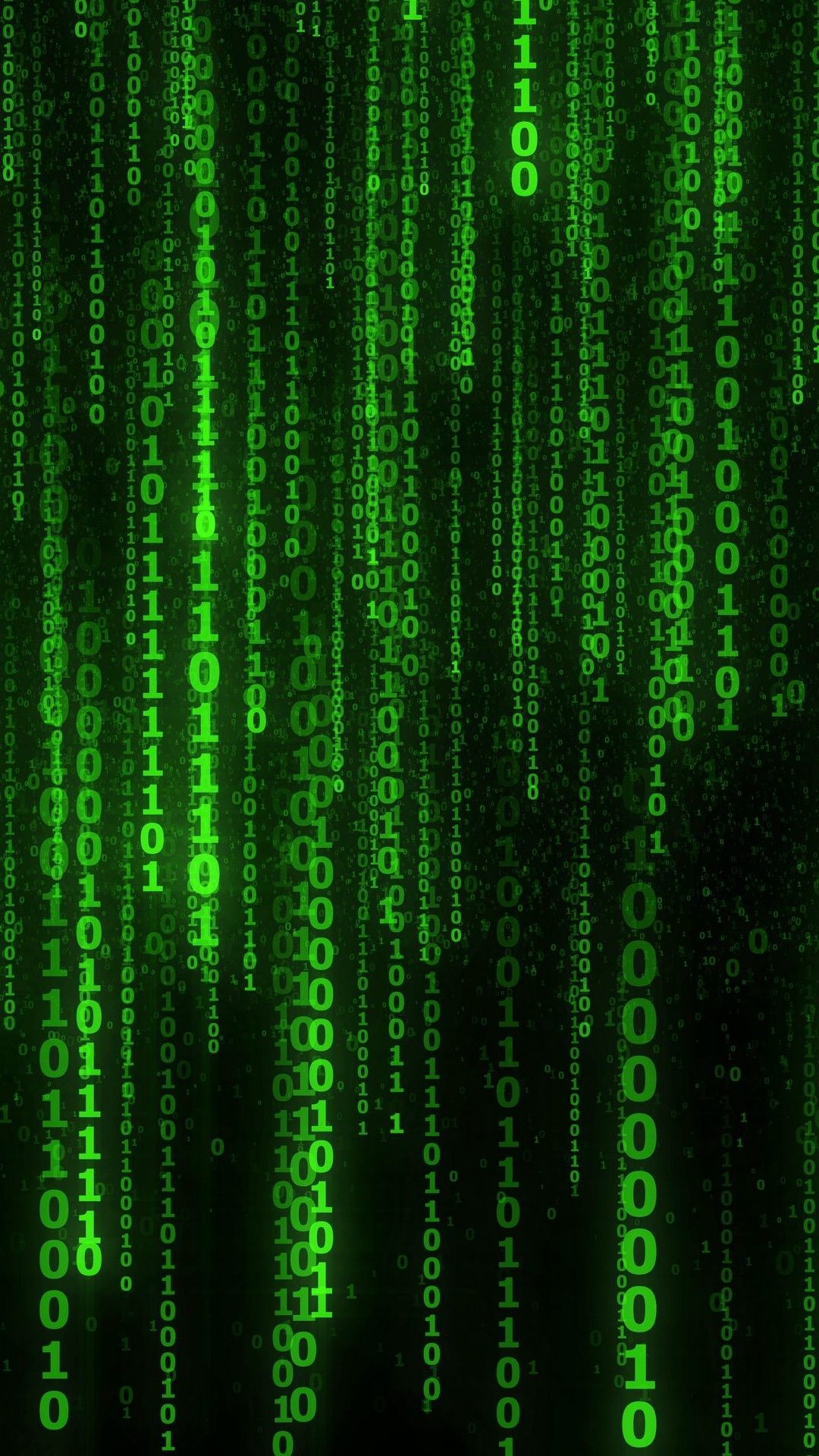 Matrix, Matrix Digitaler Regen, Muster, Terrestrische Pflanzen, Technologie. Wallpaper in 1080x1920 Resolution