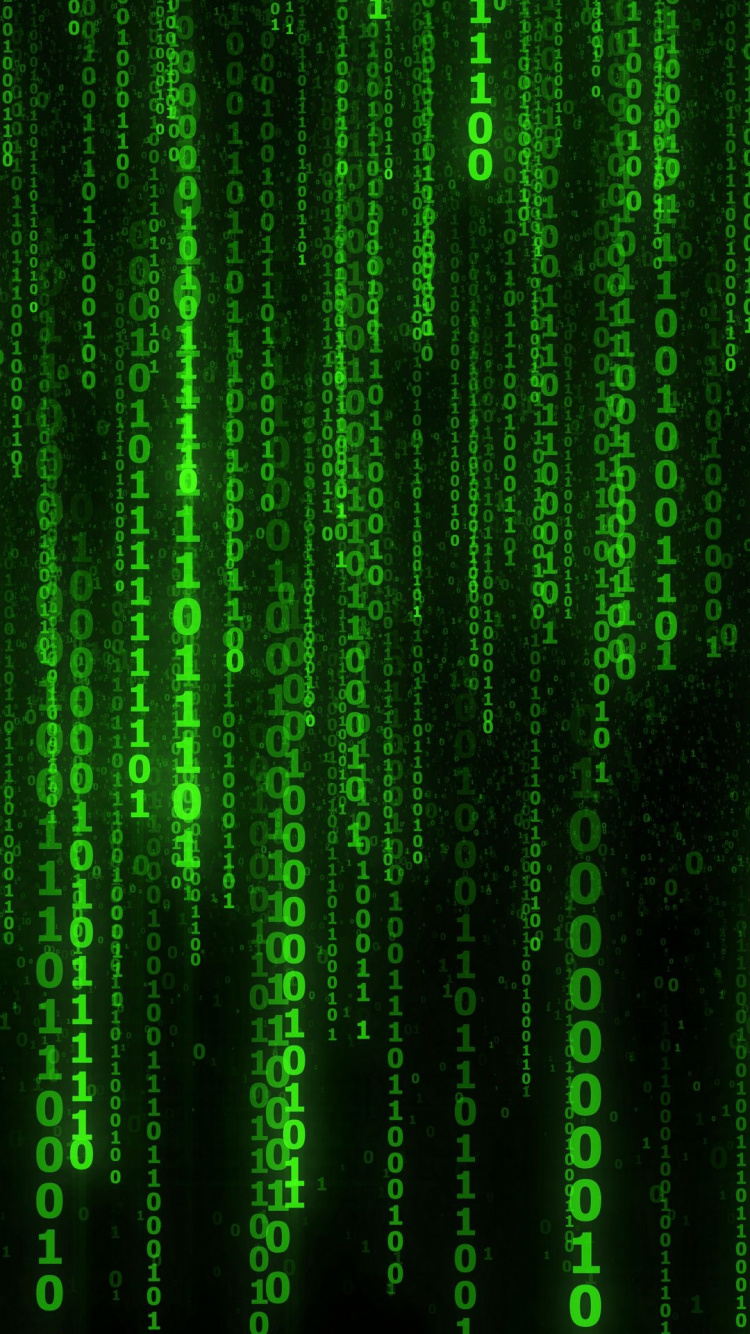 Matrix, Matrix Digitaler Regen, Muster, Terrestrische Pflanzen, Technologie. Wallpaper in 750x1334 Resolution