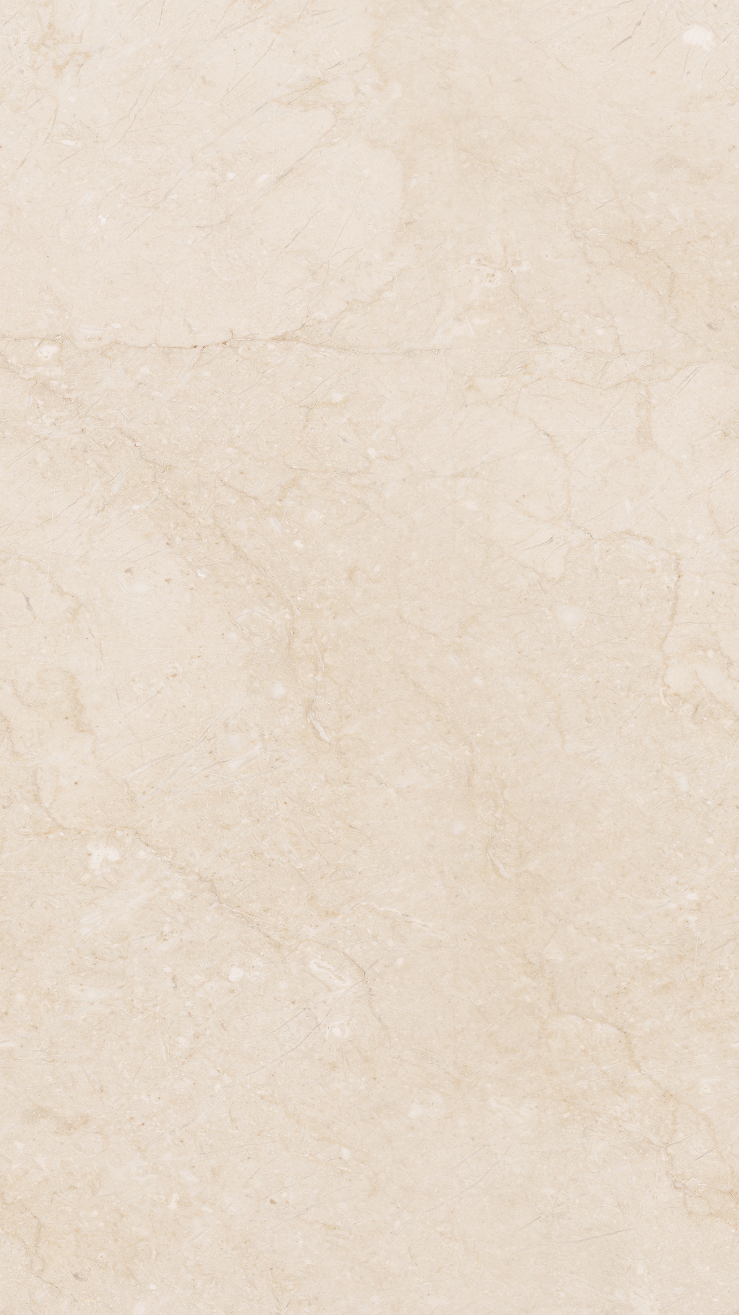 White and Gray Concrete Floor. Wallpaper in 1440x2560 Resolution