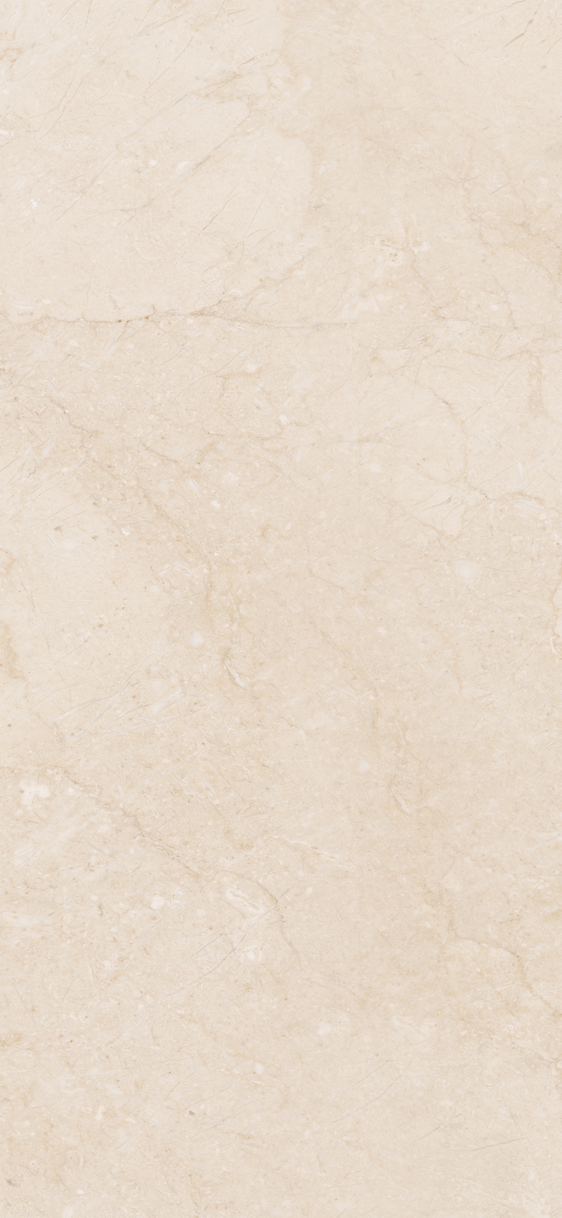 Sol en Béton Blanc et Gris. Wallpaper in 1125x2436 Resolution