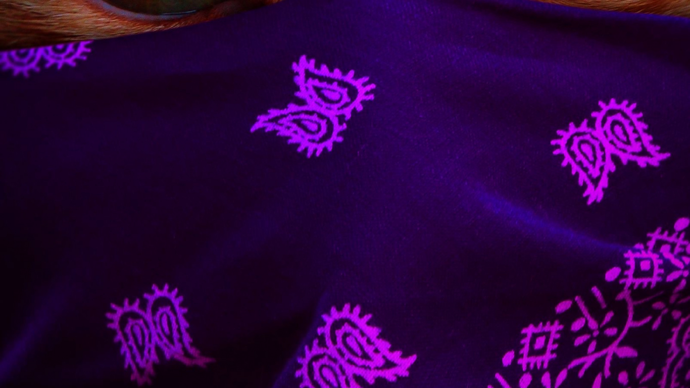 Chat Dans Une Écharpe 2021-01, Moustache, Tête, Chat, Purple. Wallpaper in 1366x768 Resolution