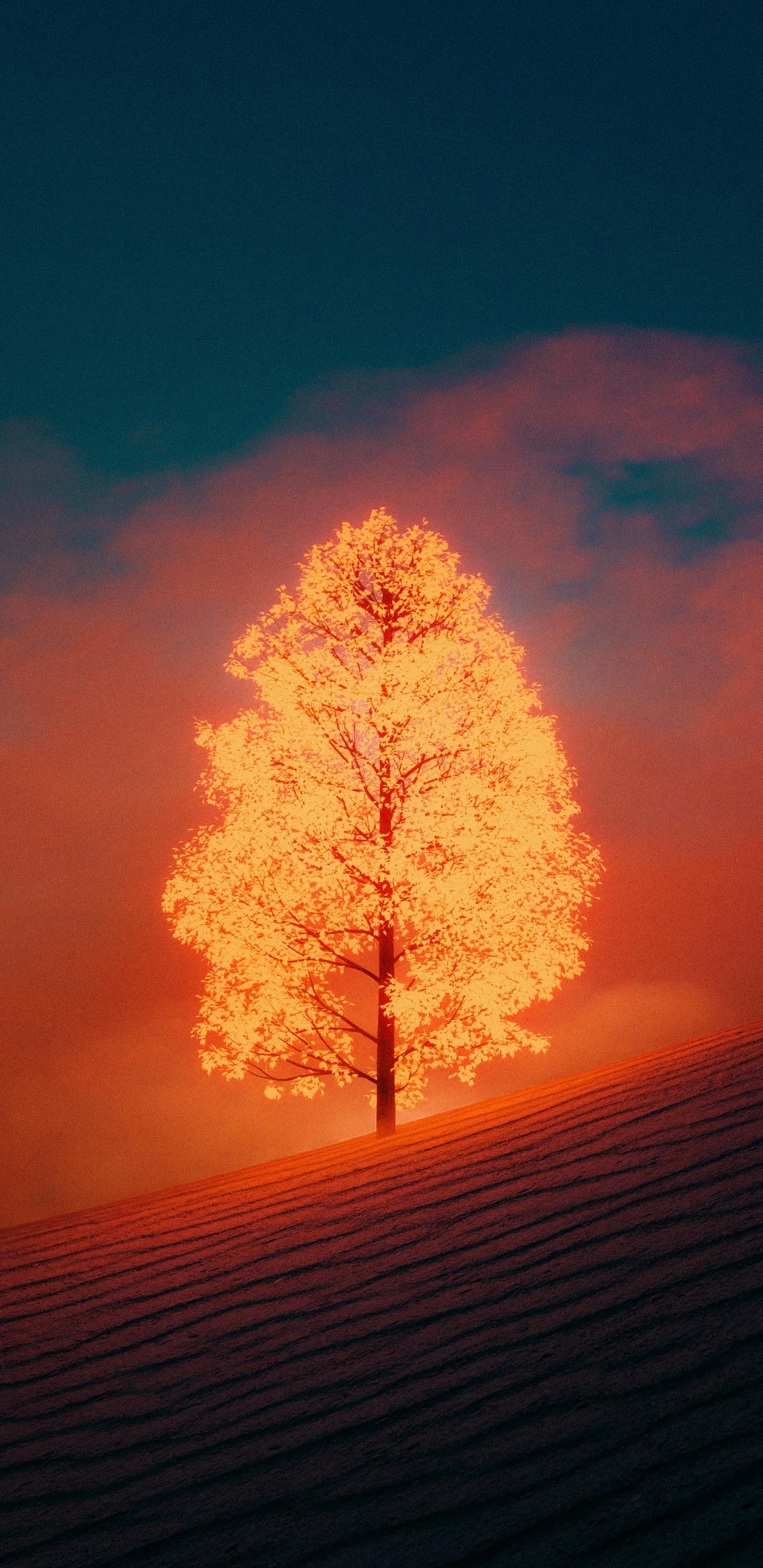 B-tap, Cloud, Atmosphere, Tree, Plant. Wallpaper in 1440x2960 Resolution