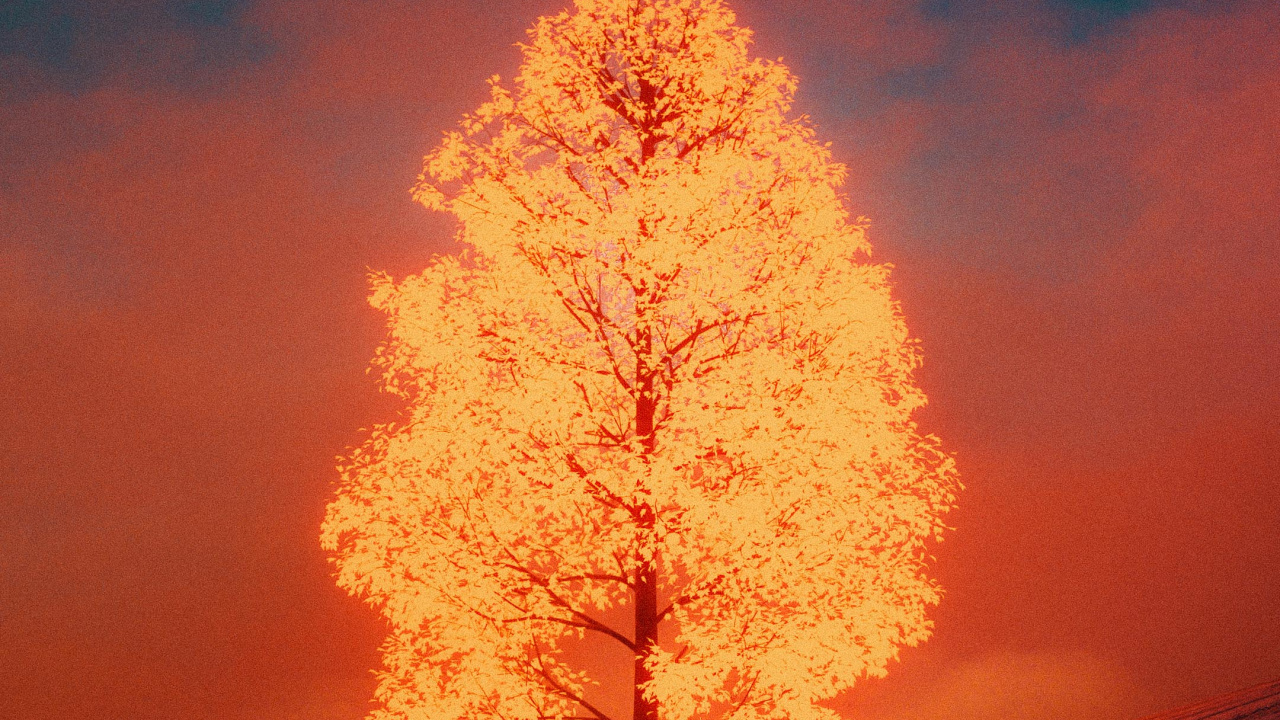 B-tippen, Cloud, Atmosphäre, Baum, Bernstein. Wallpaper in 1280x720 Resolution