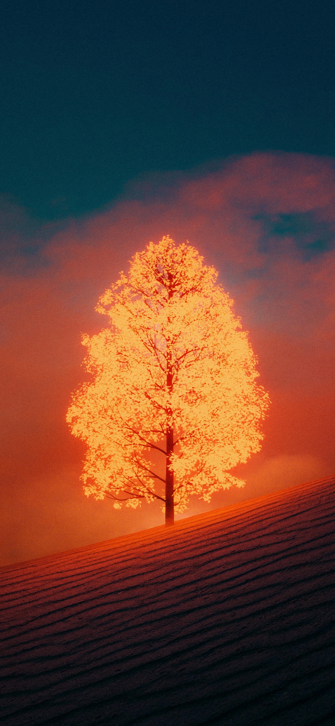 Toque b, Ambiente, Ambar, Afterglow, Paisaje Natural. Wallpaper in 1125x2436 Resolution