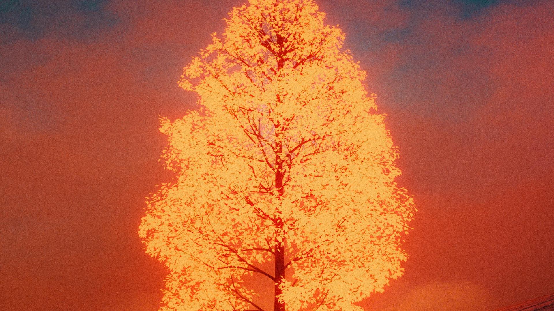 Toque b, Ambiente, Ambar, Afterglow, Paisaje Natural. Wallpaper in 1920x1080 Resolution