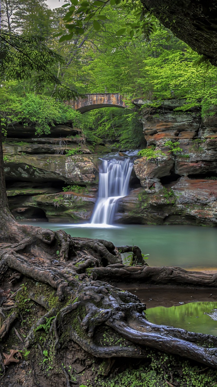 Brauner Baumstamm in Der Nähe Von Fluss. Wallpaper in 720x1280 Resolution